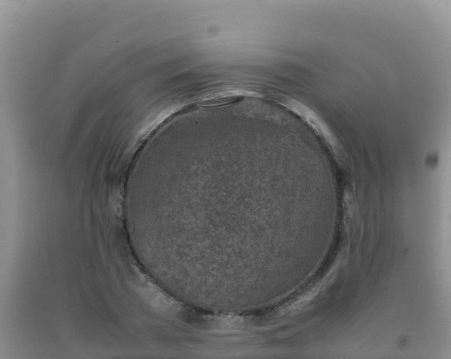 X0000092100785200709191306