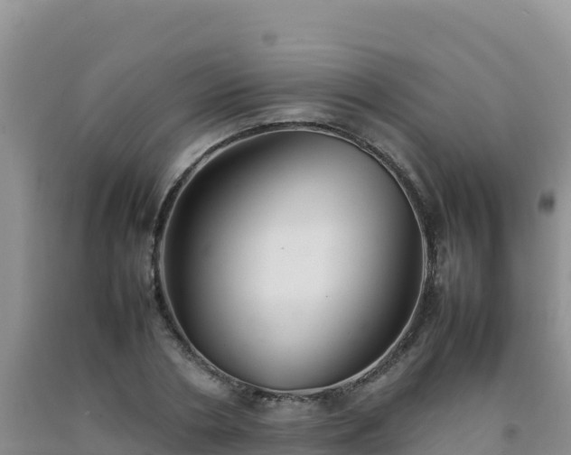 X0000092100786200709191306