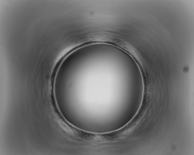 X0000092100787200709191306