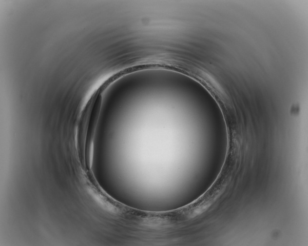 X0000092100788200709191306