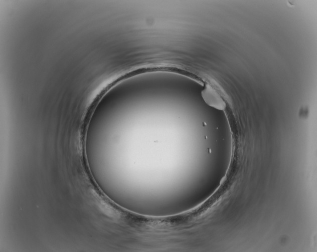 X0000092100789200709191306