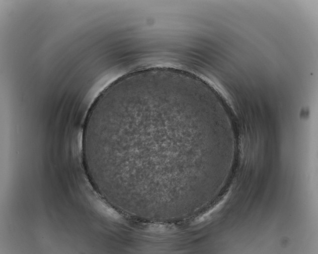 X0000092100790200709191306