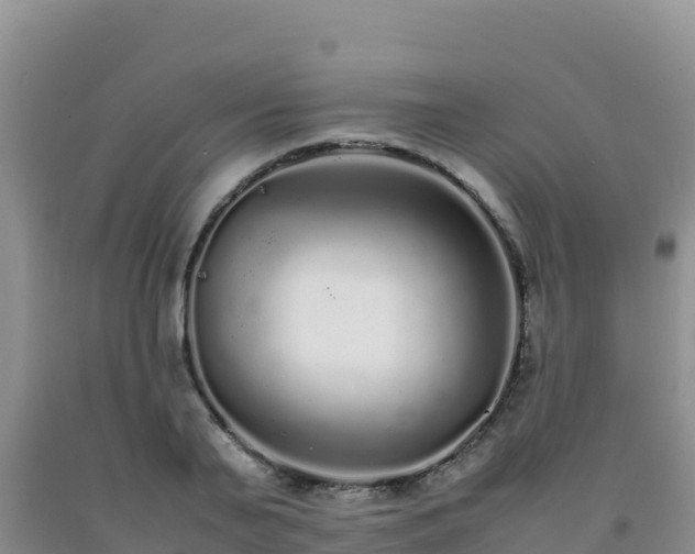 X0000092100791200709191306