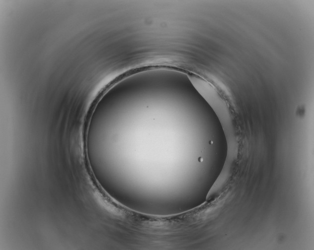 X0000092100792200709191306