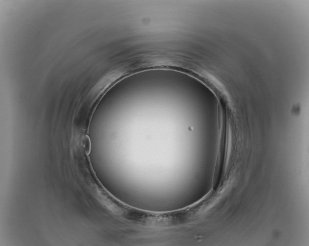 X0000092100793200709191306