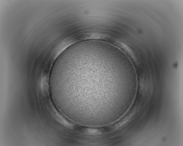 X0000092100794200709191306