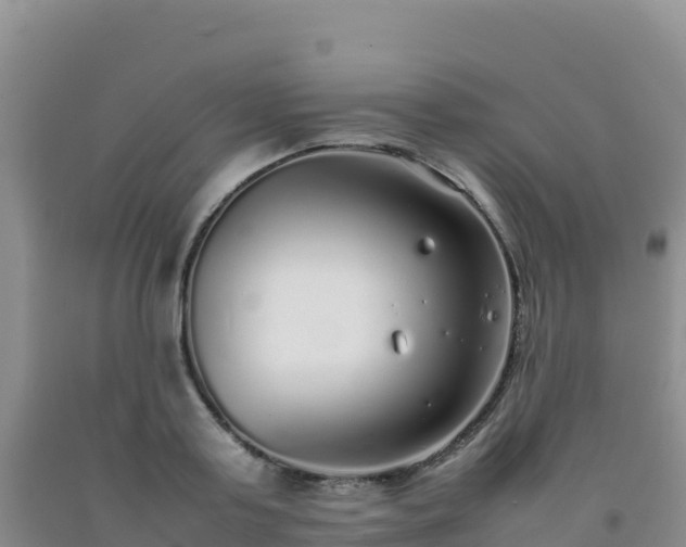 X0000092100795200709191305