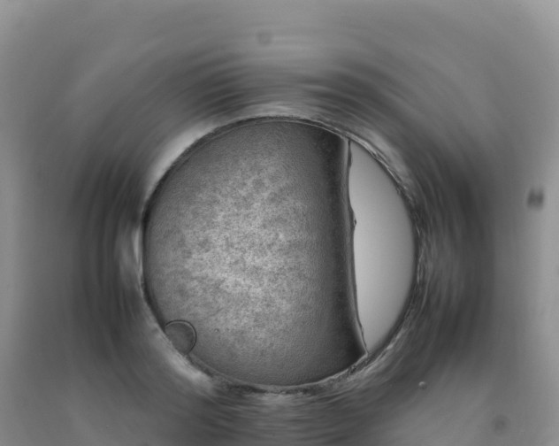 X0000092100796200709191305