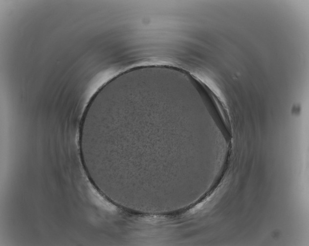 X0000092100797200709191305