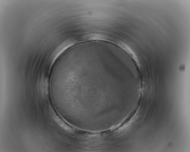 X0000092100798200709191305