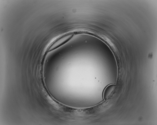 X0000092100799200709191305