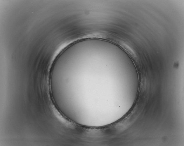 X0000092100800200709191305