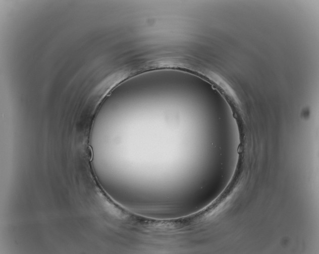 X0000092100801200709191305