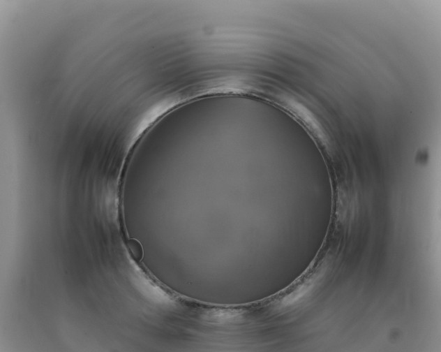 X0000092100802200709191305