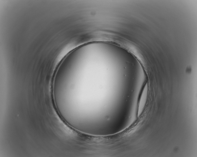 X0000092100803200709191305