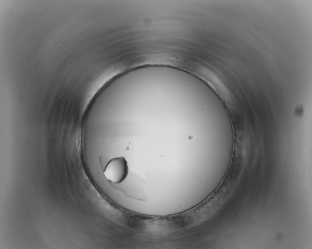 X0000092100804200709191305