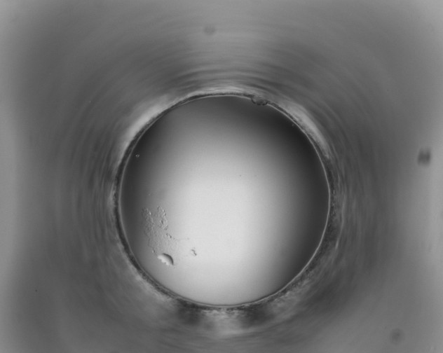 X0000092100805200709191305