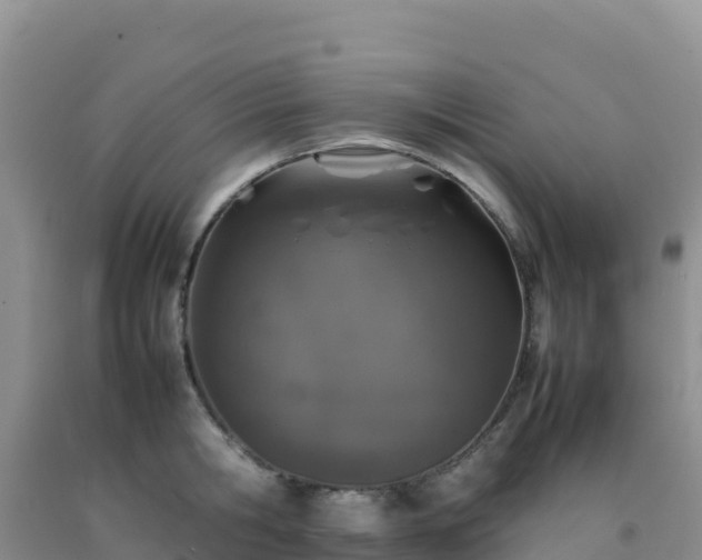 X0000092100806200709191305