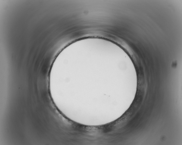 X0000092100807200709191305