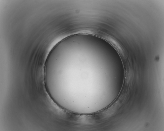 X0000092100808200709191305