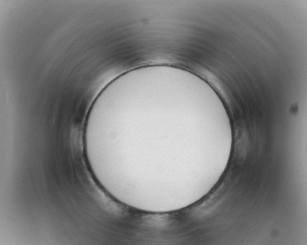 X0000092100810200709191305