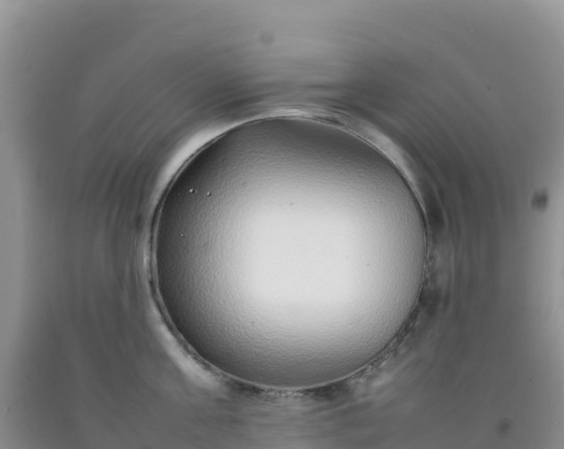 X0000092100811200709191305