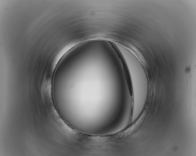 X0000092100812200709191305