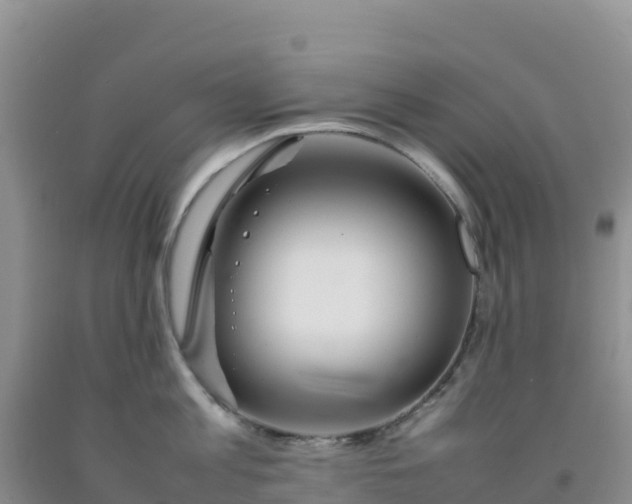 X0000092100813200709191305