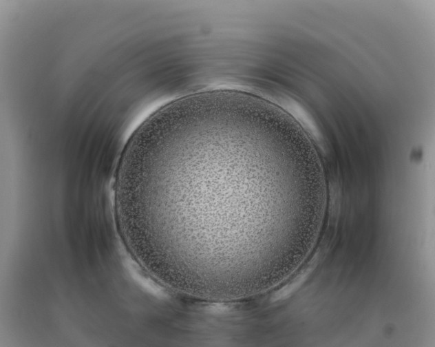 X0000092100814200709191305