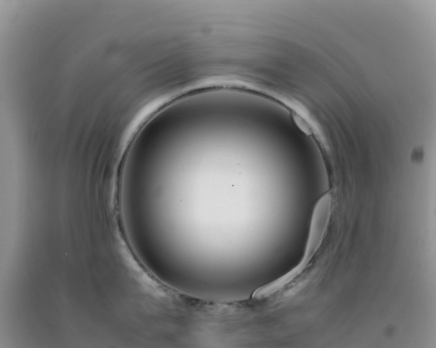 X0000092100815200709191305