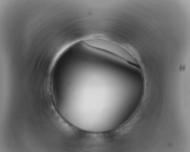 X0000092100816200709191305