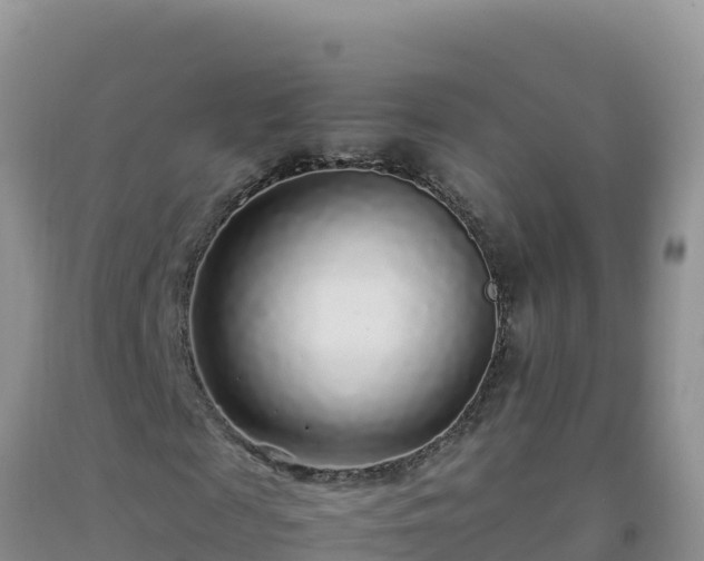 X0000092100817200709191305