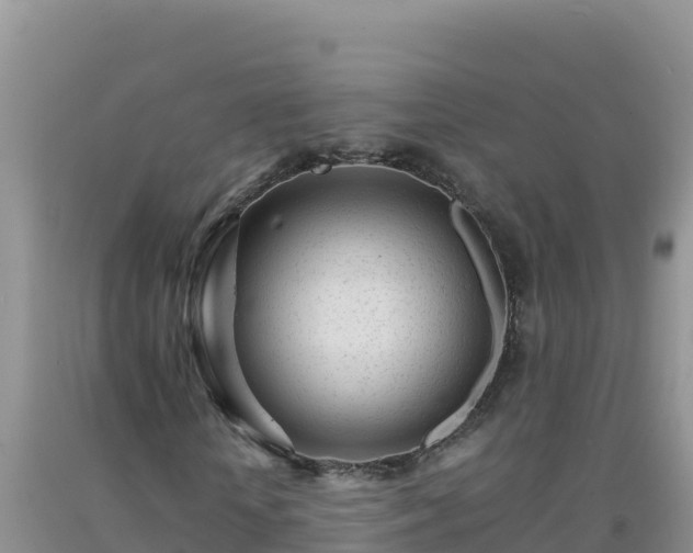 X0000092100818200709191305