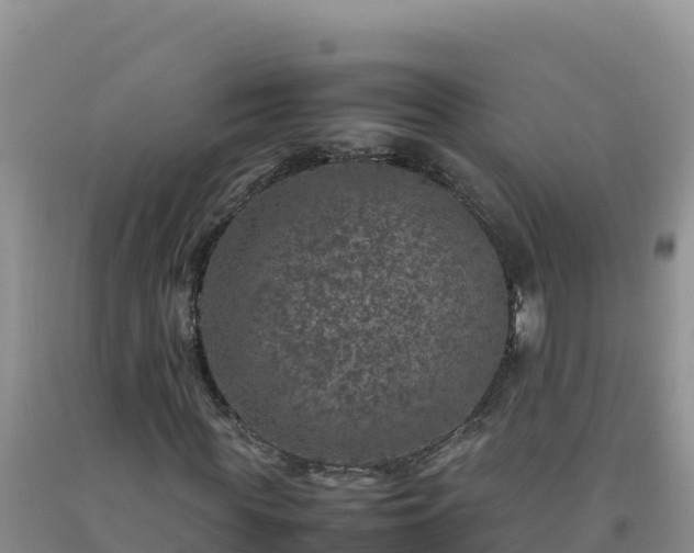 X0000092100819200709191305