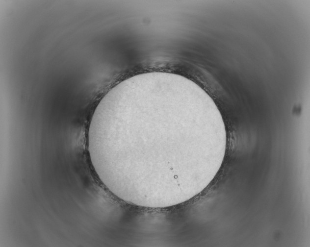 X0000092100820200709191305