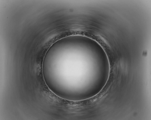 X0000092100821200709191305