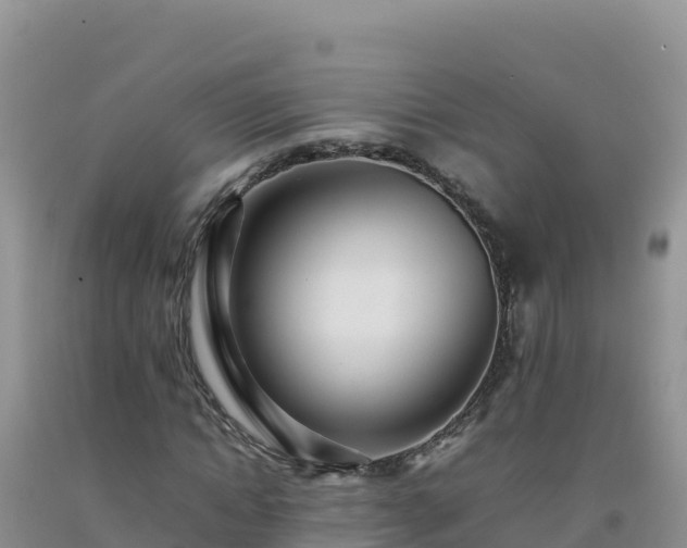 X0000092100822200709191305