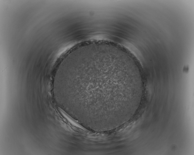 X0000092100823200709191305