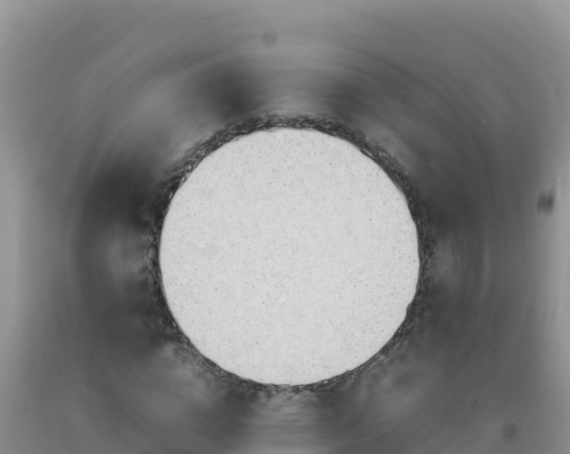 X0000092100824200709191305