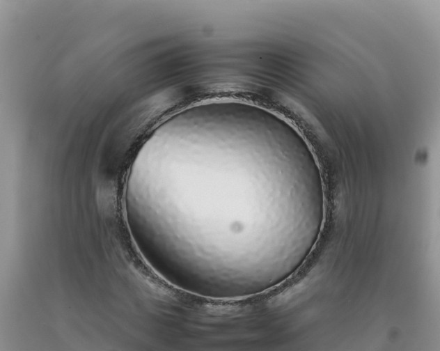 X0000092100825200709191305