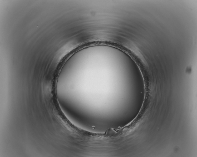 X0000092100826200709191305