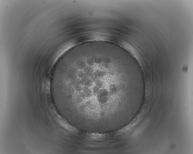 X0000092100827200709191305