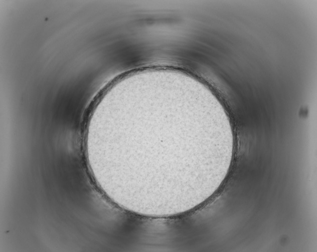 X0000092100828200709191305