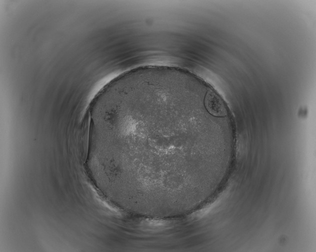 X0000092100829200709191305