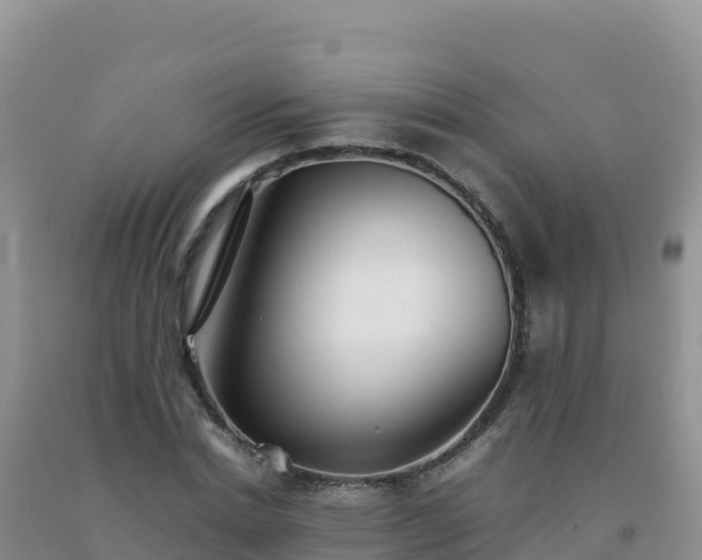 X0000092100830200709191305