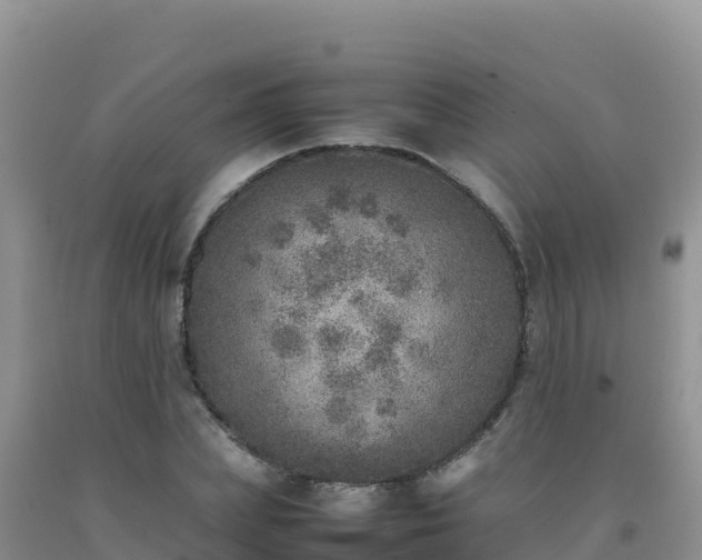 X0000092100831200709191305