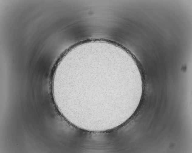 X0000092100832200709191305