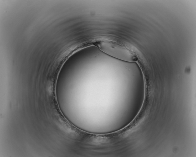 X0000092100833200709191305