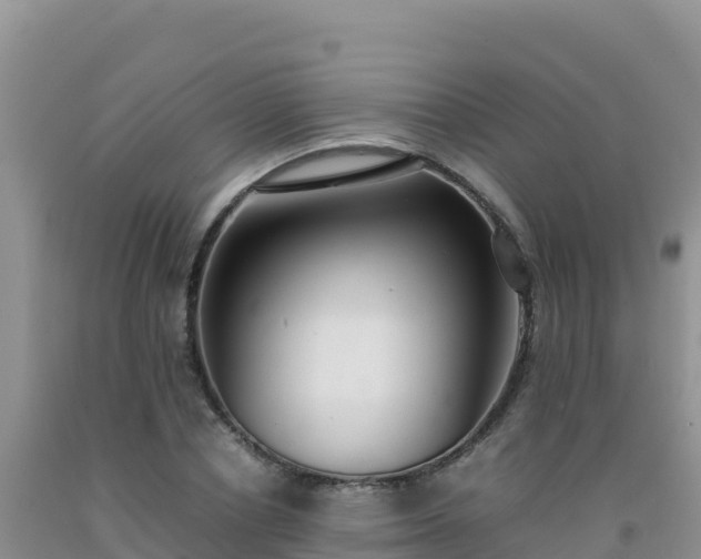 X0000092100834200709191305