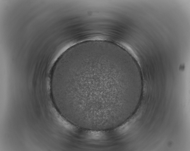 X0000092100835200709191305